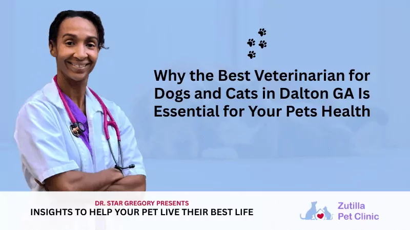 Why the Best Veterinarian for Dogs and Cats in Dalton GA Is Essential for Your Pets Health