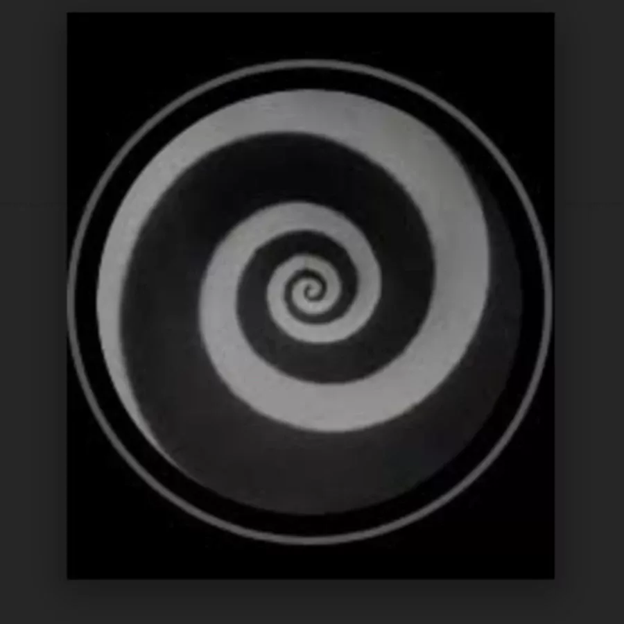 Maroon Communities; The power of abolitionists, Wren and Priya