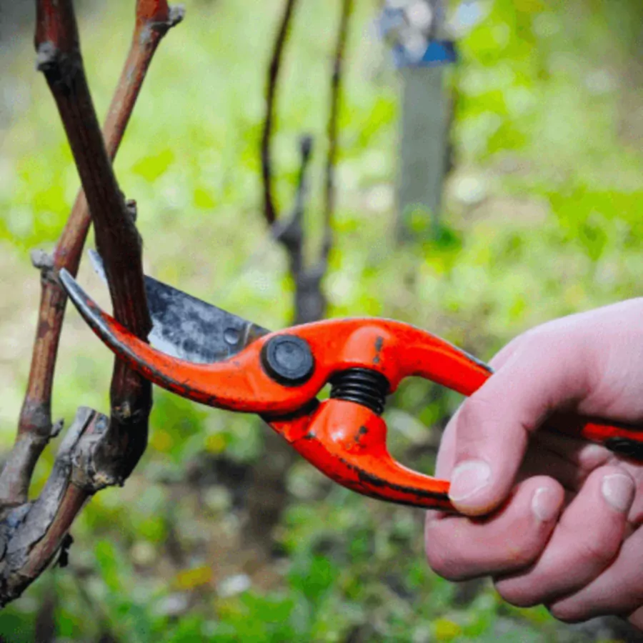 2023-02-26 Seeking God for Revival