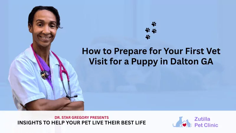 How to Prepare for Your First Vet Visit for a Puppy in Dalton GA