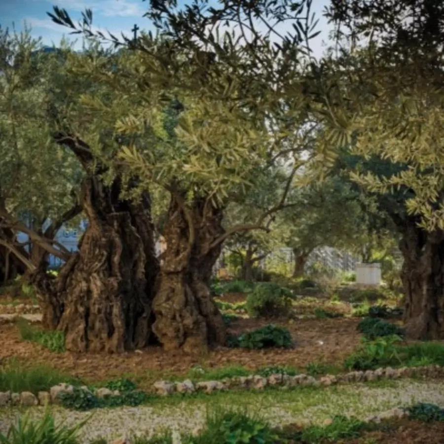 2022-10-23 On Jesus in the Garden of Gethsemane