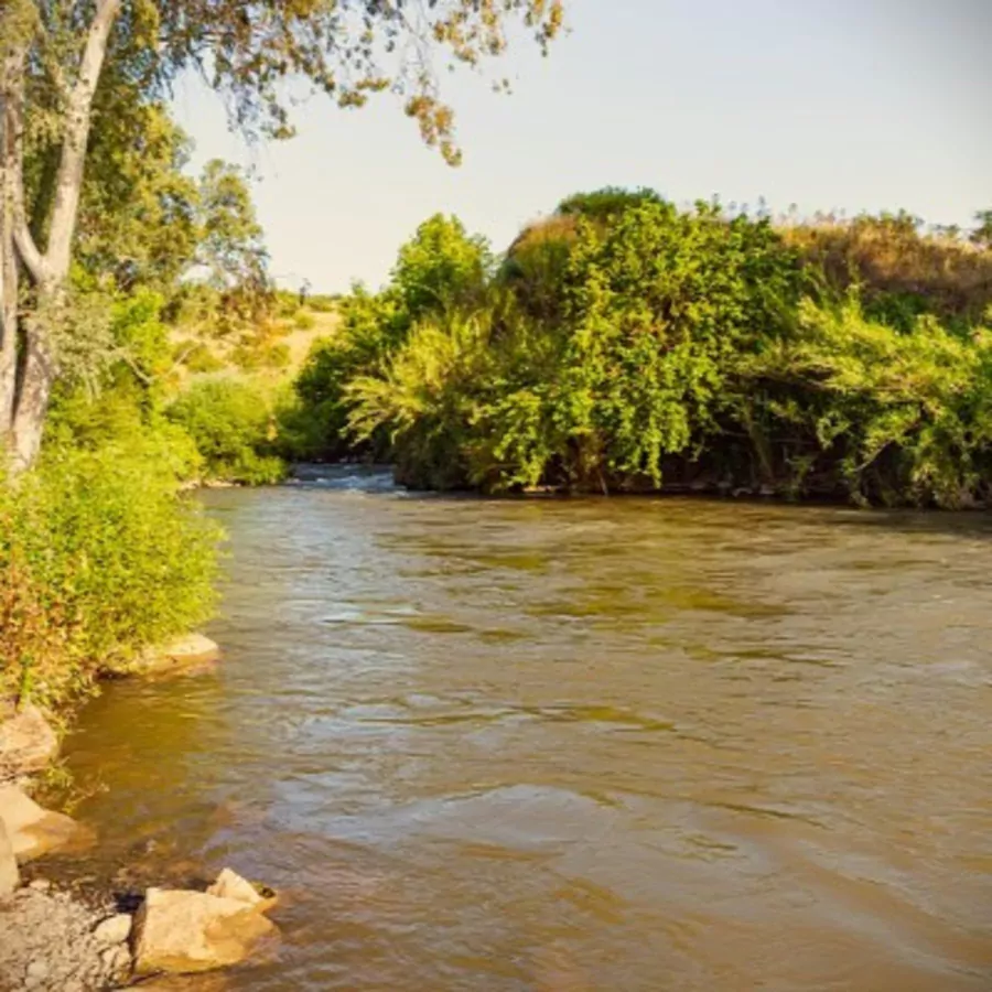 2024-11-03 Let's Walk Without Sin