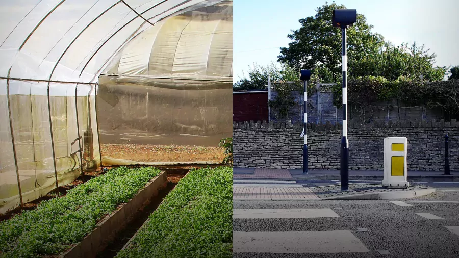 How we can eat our landscapes | Pam Warhurst