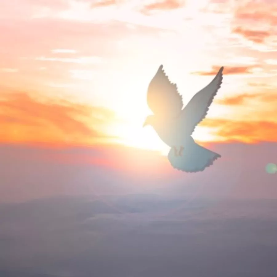 2022-11-13 Our Relationship With the Holy Spirit