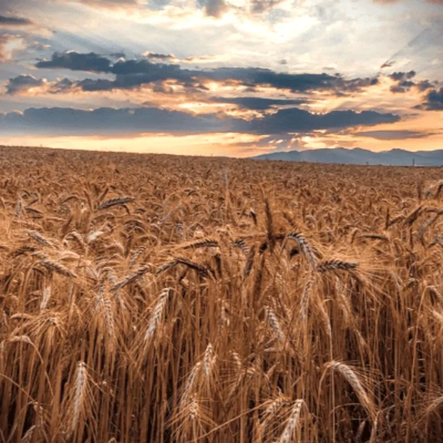 2023-02-12 Lift Up Your Eyes