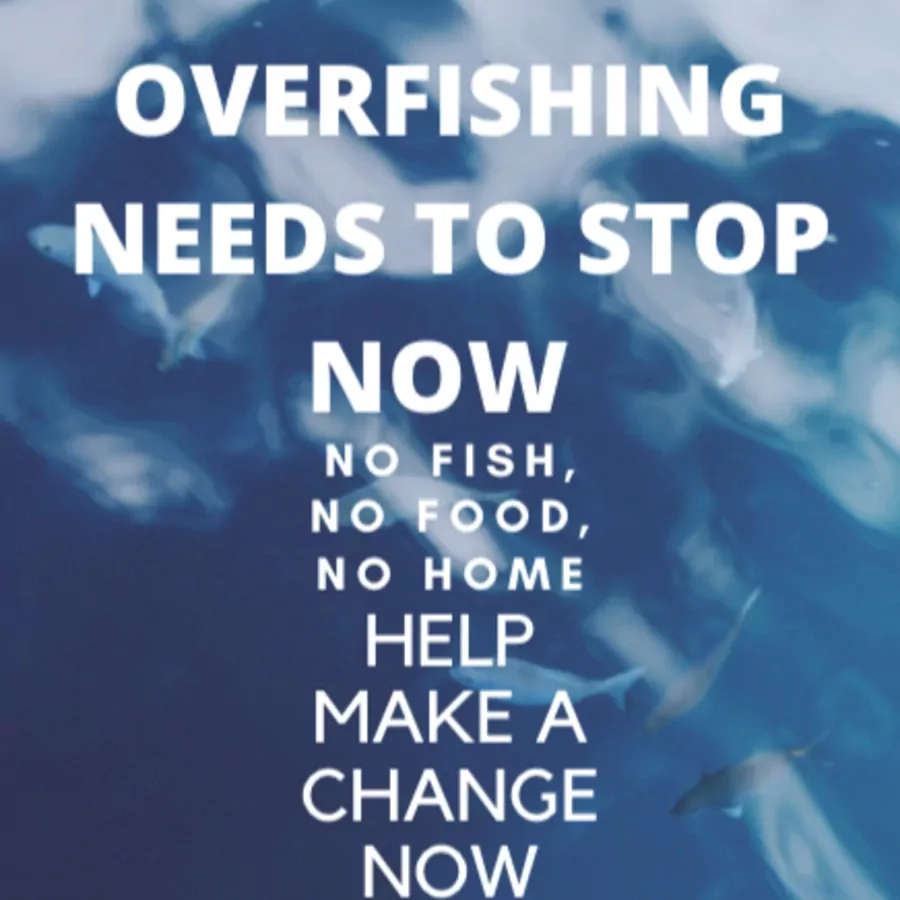 Over fishing importance 